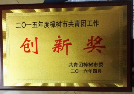 為“五四”喝彩，向青春致敬——集團(tuán)團(tuán)委獲2015年度樟樹市共青團(tuán)工作創(chuàng)新獎