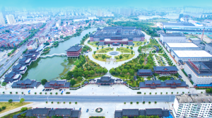 全國政協(xié)委員、仁和集團董事長楊文龍：推動“醫(yī)檢藥保”互聯(lián)互通加快醫(yī)療服務創(chuàng)新，實現(xiàn)健康中國