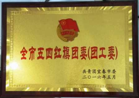 1463126878067064087.jpg 仁和集團(tuán)團(tuán)委榮膺宜春市“五四紅旗團(tuán)委” (1).jpg