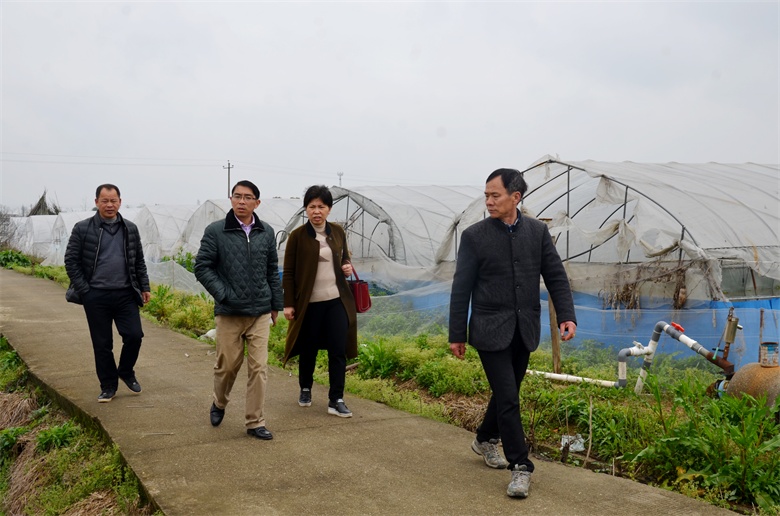 1504052260546007063.jpg 微信圖片_20170808081631.jpg