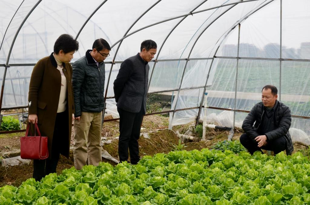 1506474372597072837.jpg 仁和集團駐張家山街道杏塘村委工作隊與村干部商討產(chǎn)業(yè)扶貧.jpg